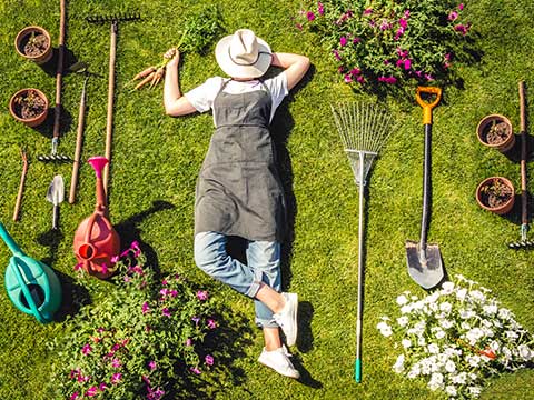 meubles et outils de jardin